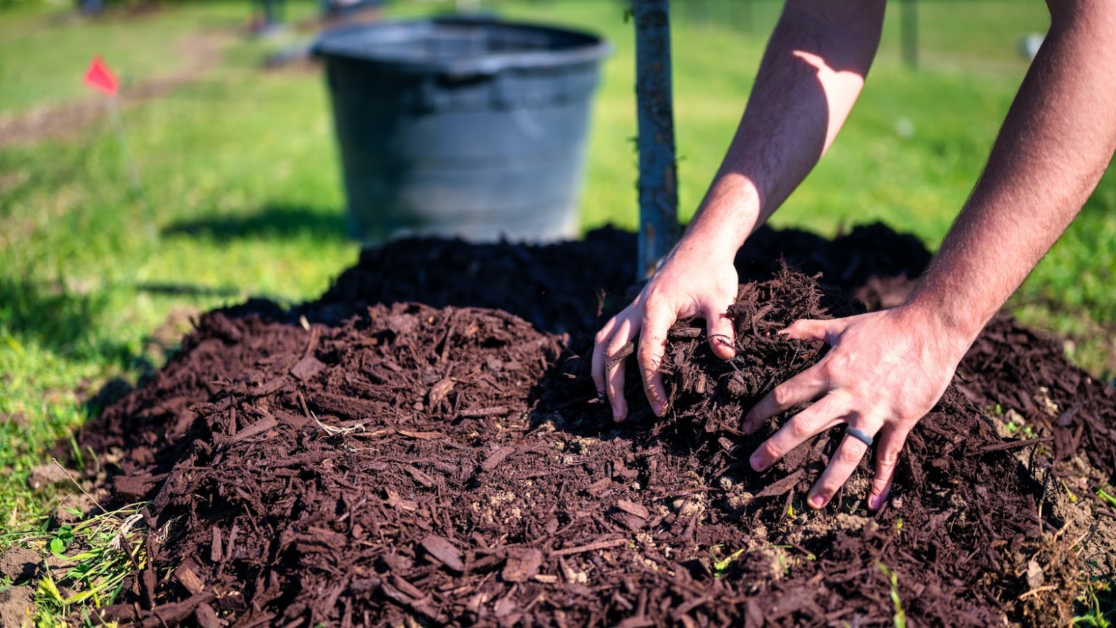 What Should I Put Down Before Mulching: 5 Essential Tips
